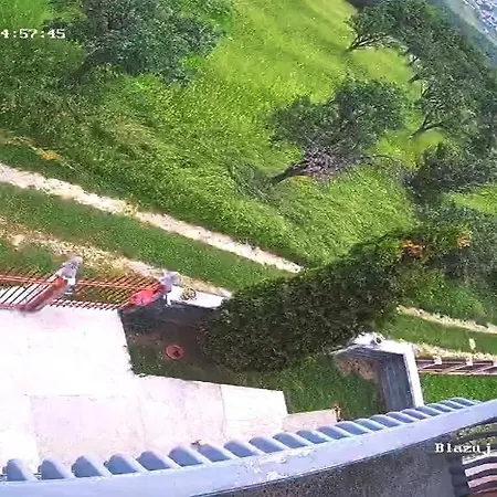 4 Bedroom House With Garden Villa